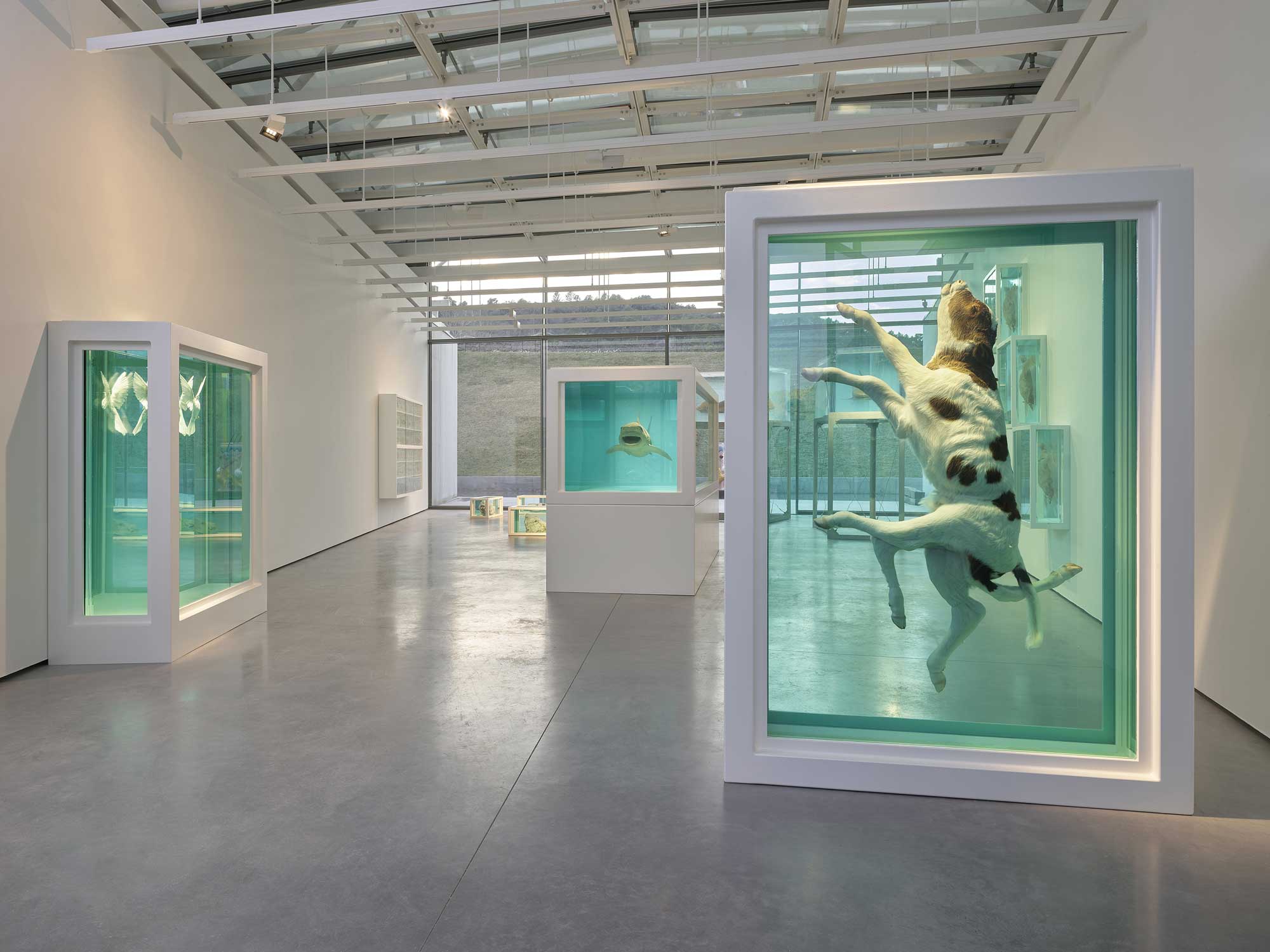 Natural History, Damien Hirst © Château La Coste