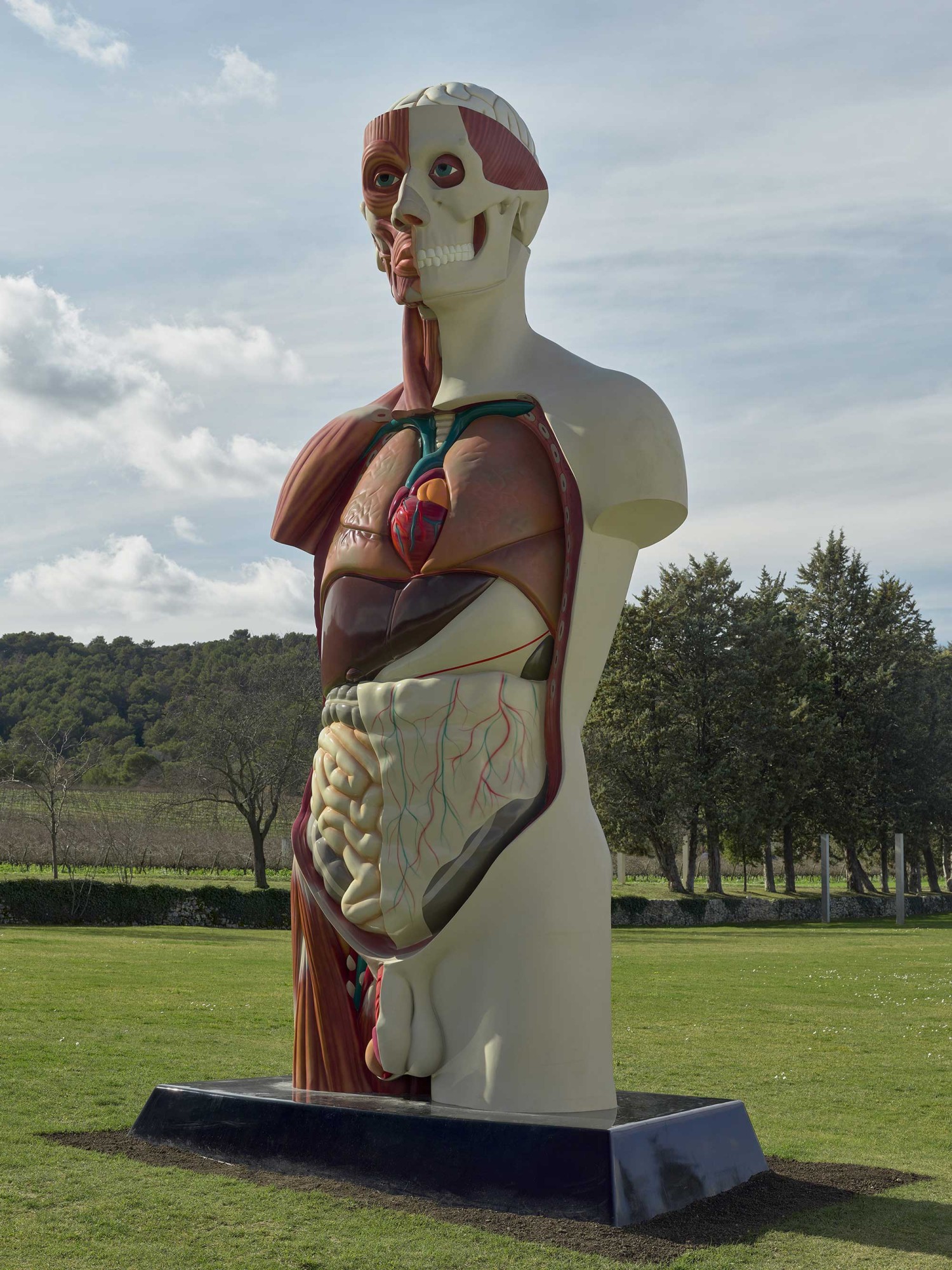 Damien Hirst © Château La Coste