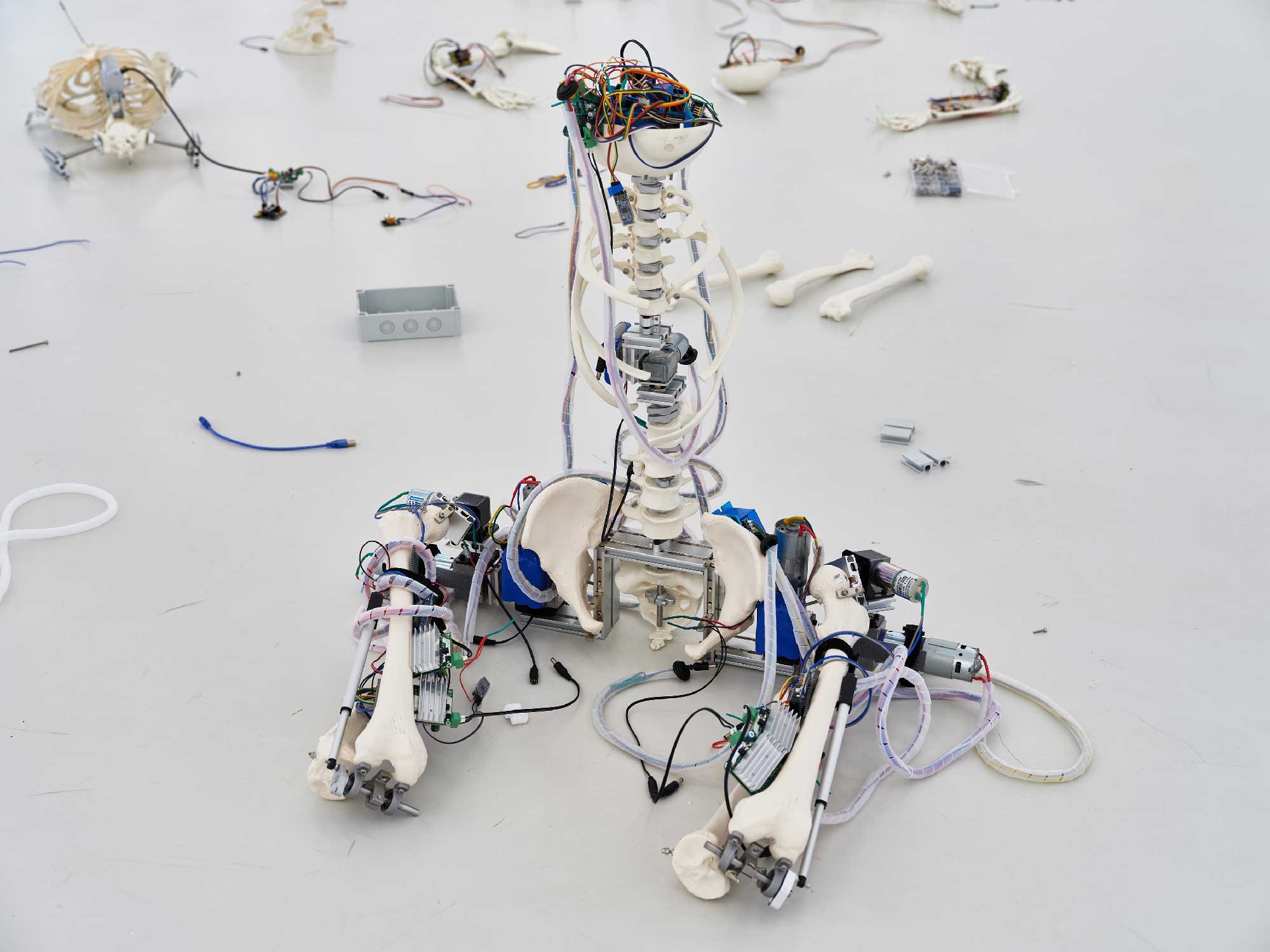 Vue d'exposition, Le murmure des libres, Geumhyung Jeong, Collection Lambert © Jean-Christophe Lett