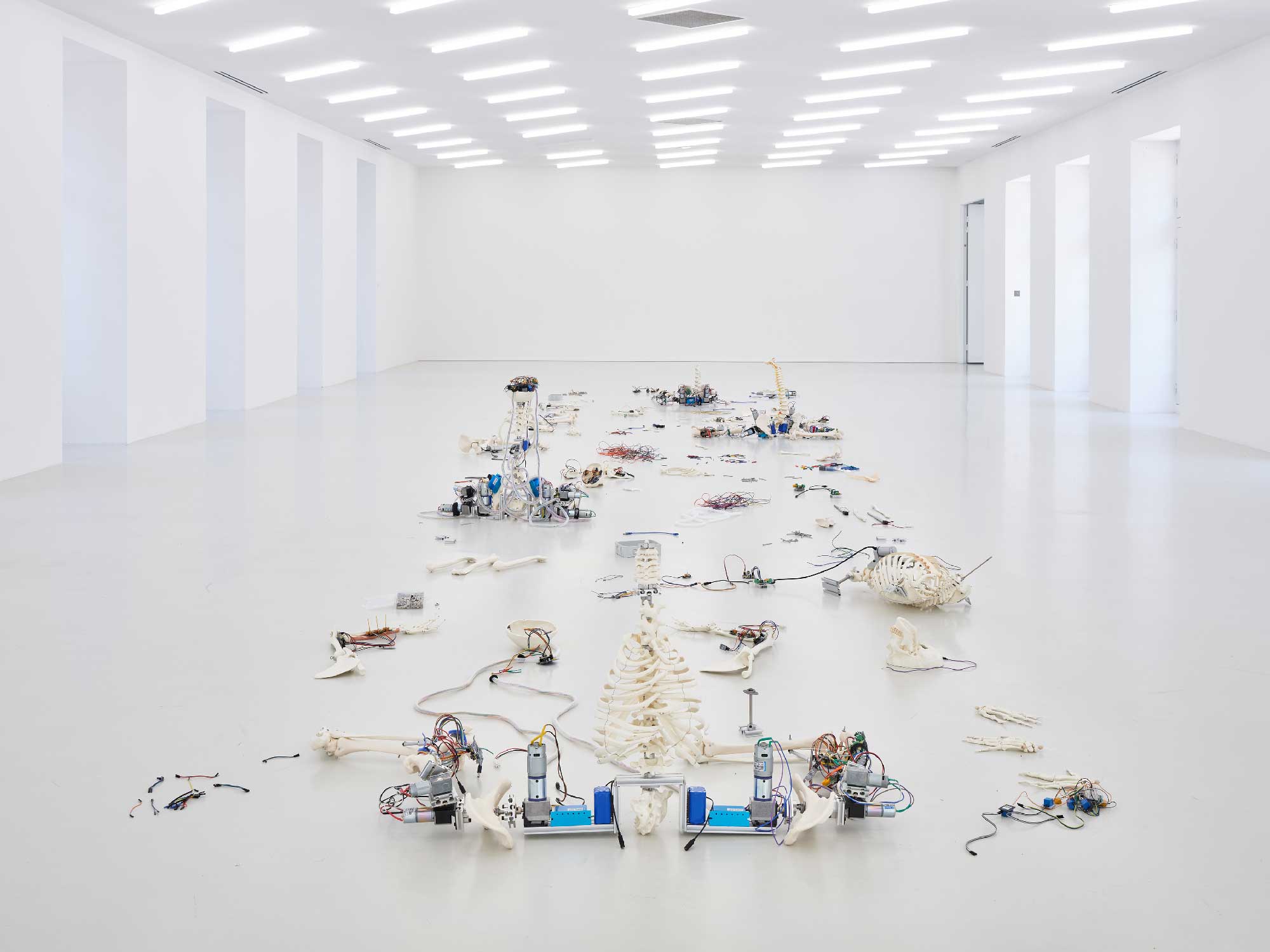 Vue d'exposition, Le murmure des libres, Geumhyung Jeong, Collection Lambert © Jean-Christophe Lett