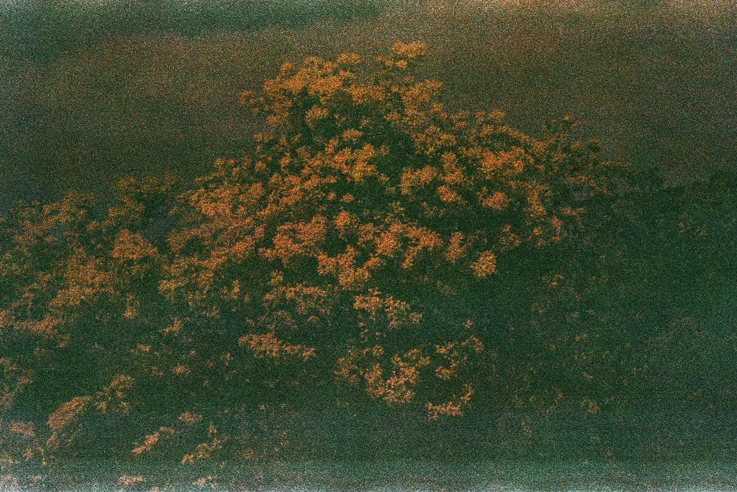 © Clara Chichin / ADAGP - Série Les précipités Digigraphie, 2025, 40 x 60 cm