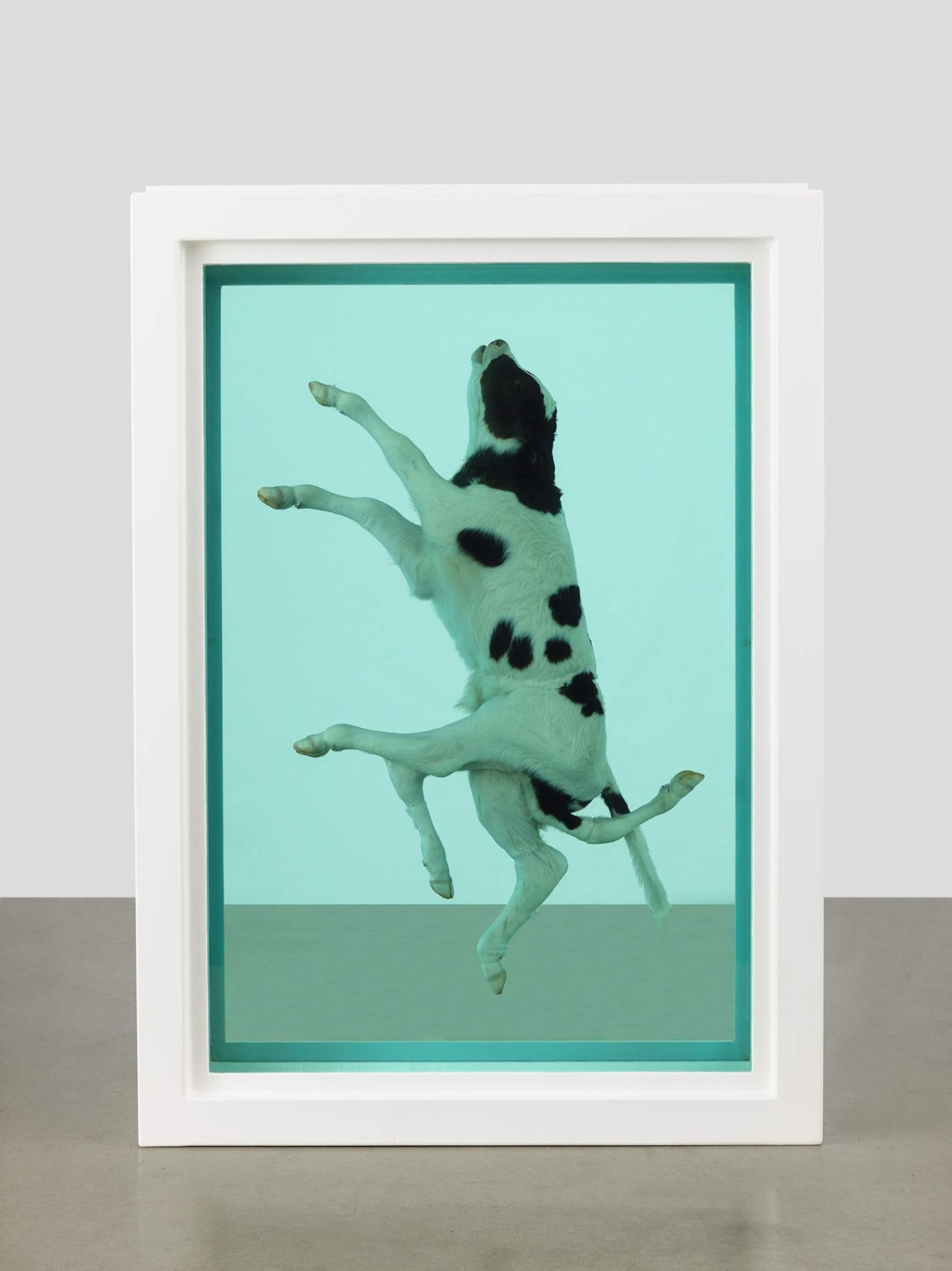 The Ascension, Damien Hirst. Photos par Prudence Cuming Associates Ltd. © Damien Hirst and Science Ltd. All rights reserved, DACS/Artimage 2023