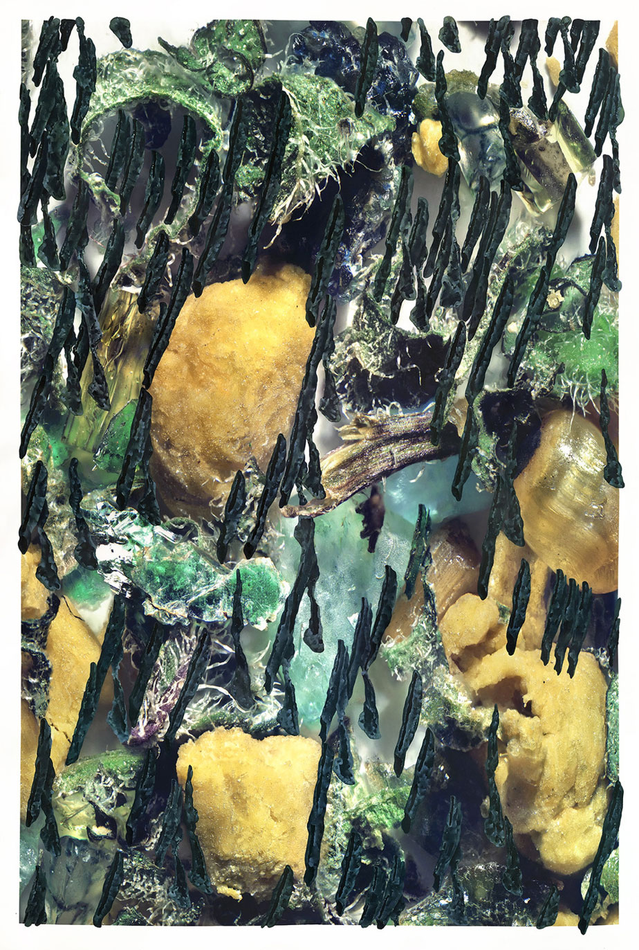 Chiral (0) Acrylique, aquarelle, pigments et encre sur papier, 85 x 60 cm © Ran Zhang