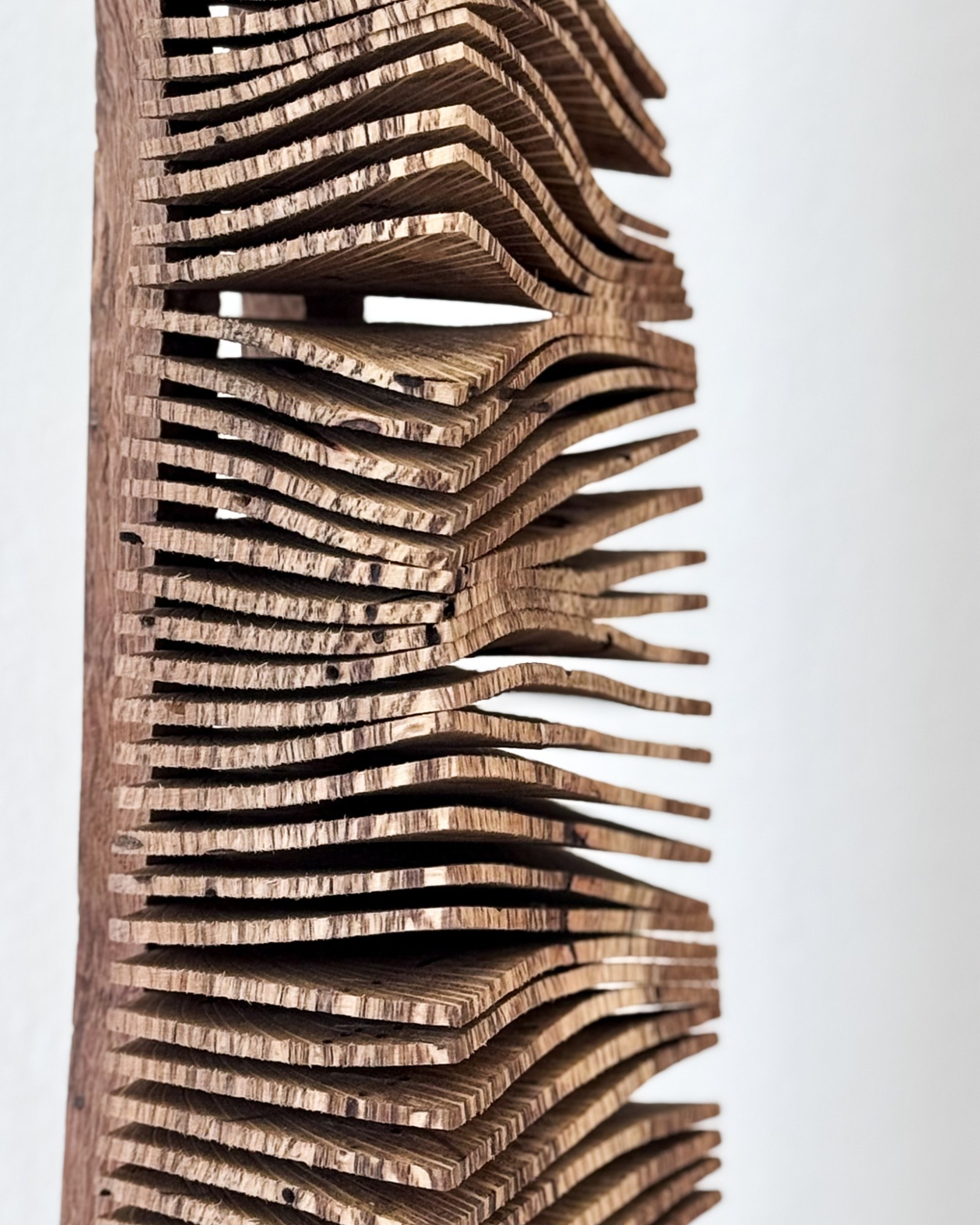 Les Journées du Liége du Var - Villa Noailles